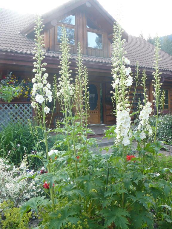كيلوانا Hitching Post Resort الغرفة الصورة